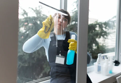 Nettoyage de vitres intérieures et extérieures à Messas